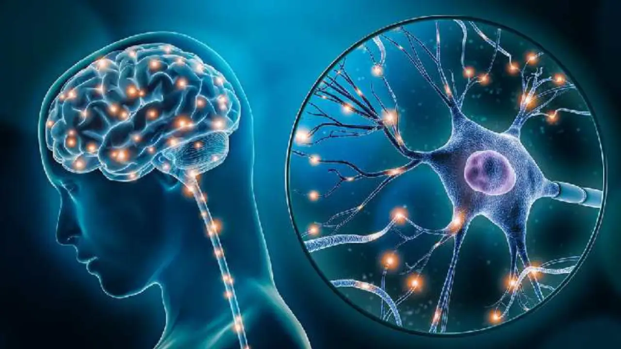 ما هو الإنعاش العقلي